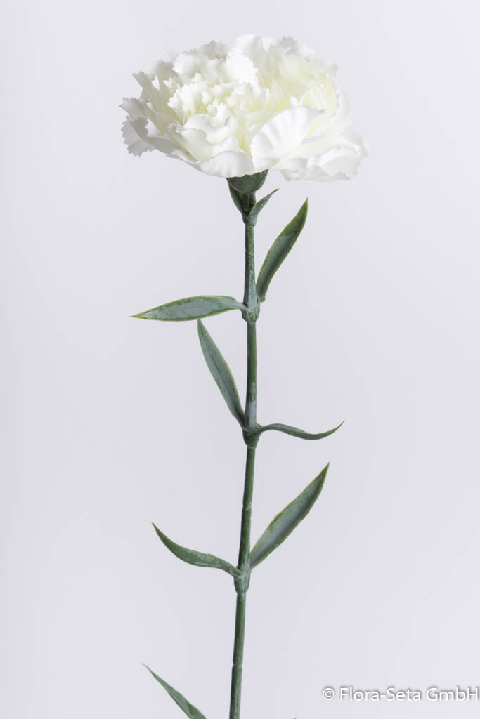 künstliche Nelke, Höhe ca. 66 cm, creme-weiß Farbe