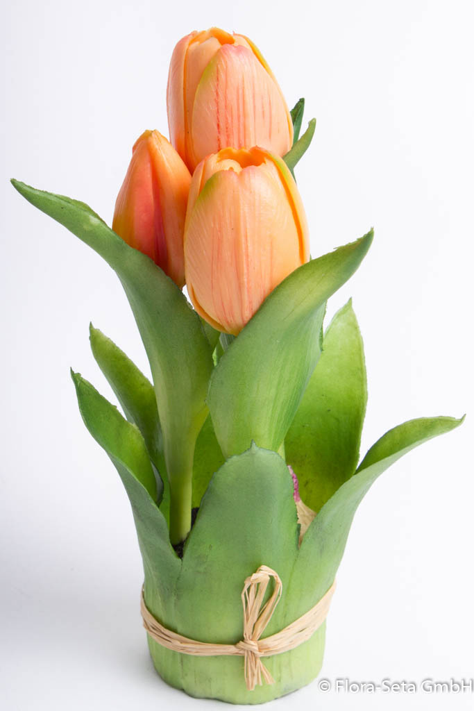 Tulpen Wunderschöne Farbvielfalt ➤ Künstliche