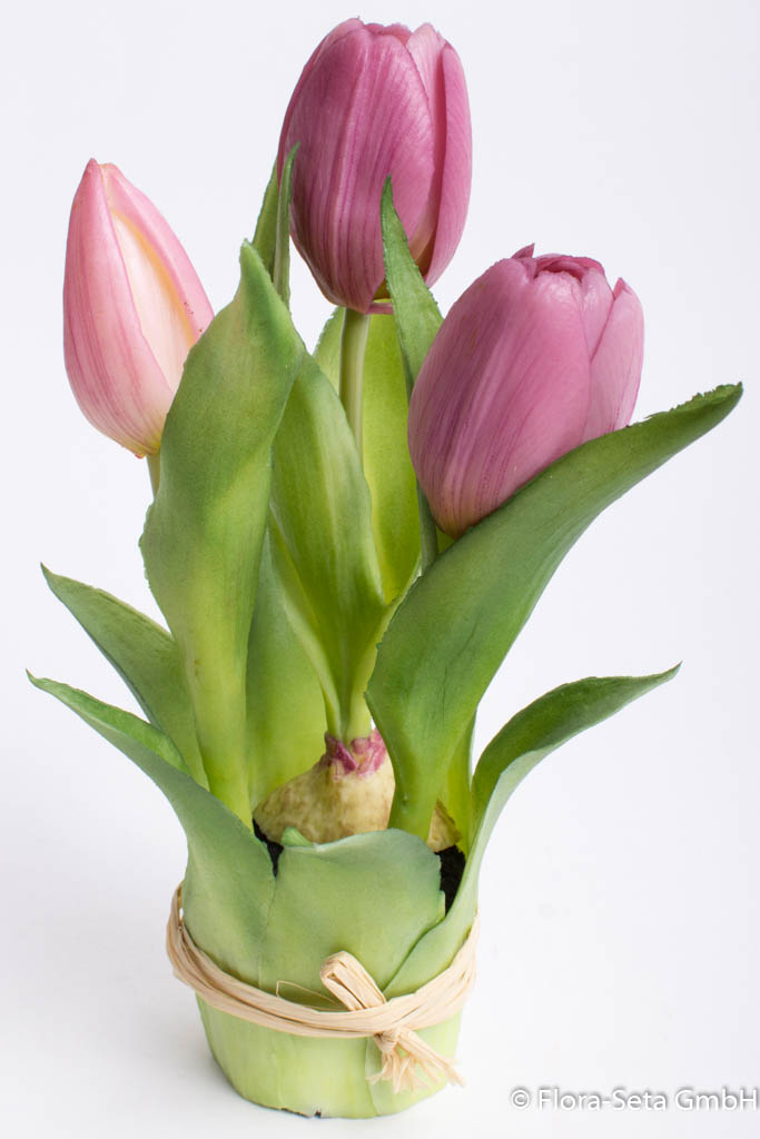 Künstliche Wunderschöne ➤ Farbvielfalt Tulpen