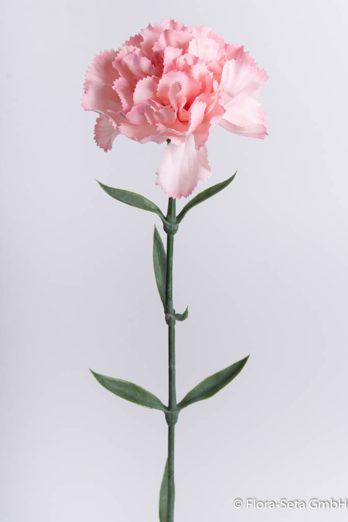 künstliche Nelke, Höhe ca. 66 cm, rosa Farbe