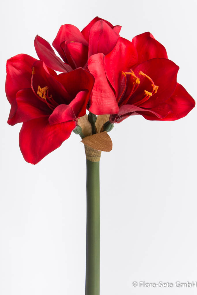 Amaryllis mit 3 Blüten, "real touch", Farbe: rot 