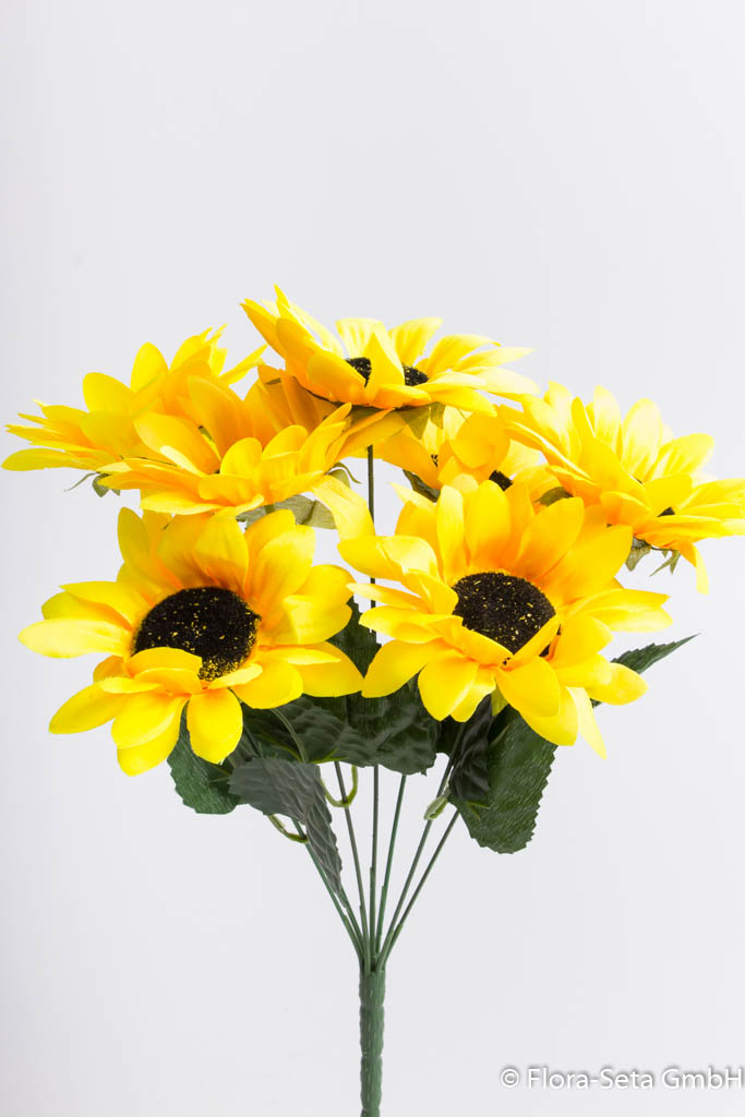 Sonnenblumenbusch mit 7 Blüten Farbe: gelb