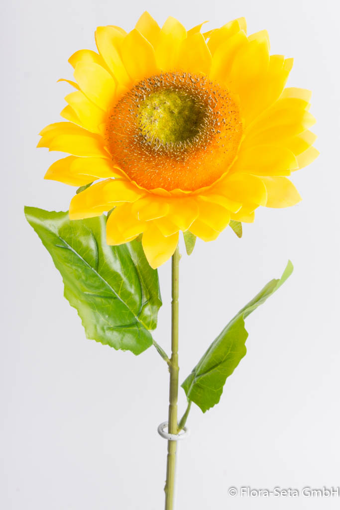 Sonnenblume mit 2 Blättern, 67 x 15 cm, real touch